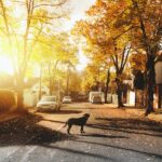 8 cidades com boas taxas de longevidade para se viver no Brasil