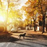 Conhecendo mais sobre a cidade de Itajaí em SC: um guia completo