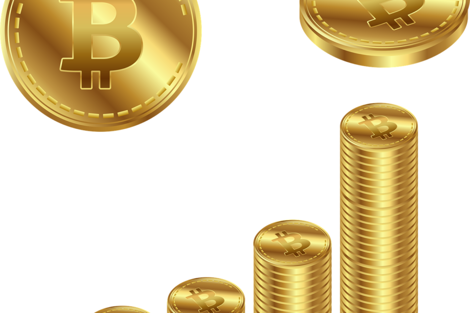 Como escolher uma carteira Bitcoin?